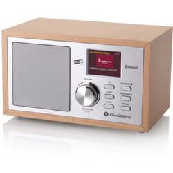 Gogen radio DAB+ 620 BTCS GOGDAB620BTCS Cene