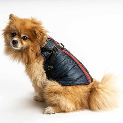 Paws &amp; Whiskers Tasmali Dark BlueRed Dog's Vest Cene