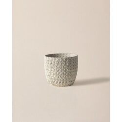 Madame coco Saksija za cveće Dolly, 20cm, Bela Cene