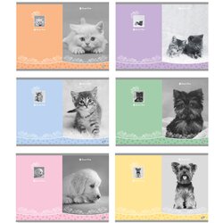 Elisa Zvezek A4, črte, 54 l, sweet pets Cene