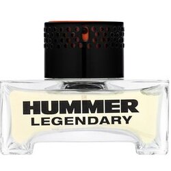 Hummer Legendary toaletna voda za muškarce 40 ml Cene