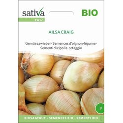 Sativa Bio semena čebule "Ailsa Craig" Cene