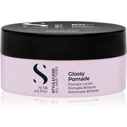 ALFAPARF MILANO Semi di Lino Style&Care Glossy Pomade voskasta pomada za ukrotitev in oblikovanje pričeske z visokim sijajem 100 ml Cene
