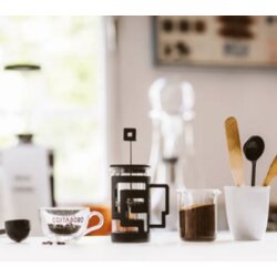 Tiamo french press steklen, 300 ml, (21155655) Cene