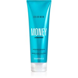 Color WOW Money Laundering Hydrating Shampoo hidratantni šampon 250 ml Cene
