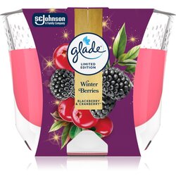 Glade Winter Berries dišeča sveča 204 g Cene