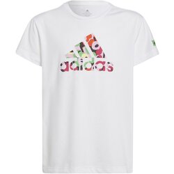 Adidas eloisha bijela Cijene