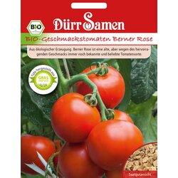 Dürr Samen BIO-okusni paradižnik Berner Rose Cene