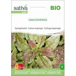 Sativa Bio špargljeva solata "Cracoviensis" Cene