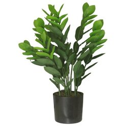 Dekordom Cvet u saksiji - money grass 7pcs - n60 ( 025151 ) Cene