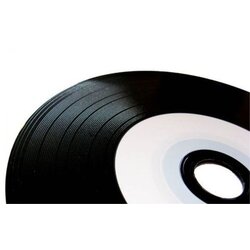 Traxdata Ritek CD-R 52x 700 MB, Vinyl White Printable, 50 kom Cene