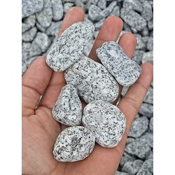WOODSTONE Kamen oblutak granit 1-3cm Cene