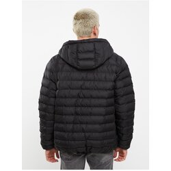 LC Waikiki Standard Mold Hooded Men's Puffer Coat Cene