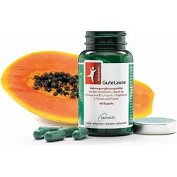 NeuroLab® Vital guteLaune Cene