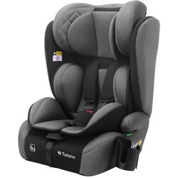  Autosjedalica Zooma 25 sivo-crna Cijene