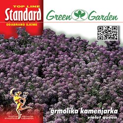 Green Garden Sjeme cvijeća KAMENJARKA GRMOLIKA VIOLET QUEEN Cijene
