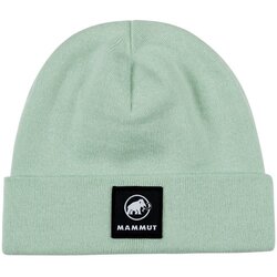 Mammut Kape Fedoz Zelena Cene