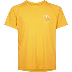 Pro Touch majica za dečake BONITO III JRS žuta 302184 Cene