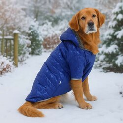 Paws & Whiskers Odelo za pse Bluecoat, Plavo Cene