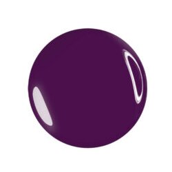 Flash AND SHINE GEL U BOJI VIOLA #6488 Cijene
