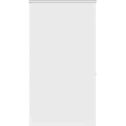 vidaXL rolo zavesa za prho s kaseto 140x240 cm širina tkanine 136 cm, (22058409) Cene
