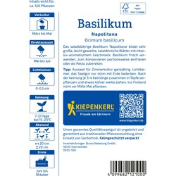 Bazilika Napolitana - 1 pkt. Cene