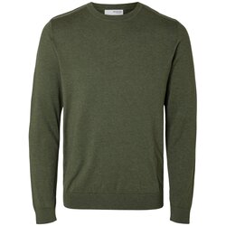 Selected Homme Pulover 'SLHBERG' zelena Cene