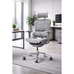 Ergohuman 2 ULTRA Gray Cene
