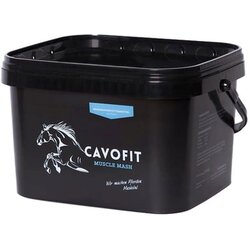 CAVOFIT Muscle Mash Cene