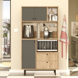 Hanah home RE3-SA oakanthracite multi purpose cabinet Cene