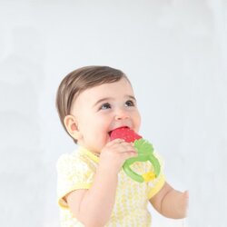 Infantino infantino® grizalo za zobke strawberry Cene