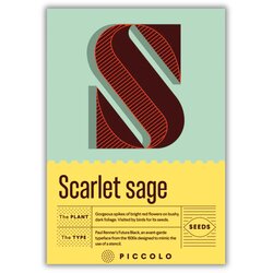 Piccolo Seeds S - Scarlet sage - škrlatna kadulja - 1 pkt. Cene