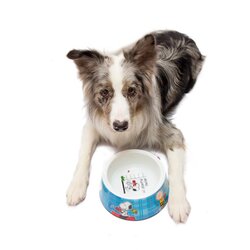 ZOOZ PETS snoopy činija CB4 melamin m 650ml Cene