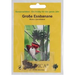 TROPICA Velika banana Cene