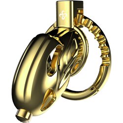 Sevanda Outlaw Urethral Sounding Chastity Cage Gold Cene