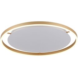 PAUL NEUHAUS Leuchten Direkt 15392-60 - LED prigušiva stropna svetiljka RITUS LED/30W/230V Cene