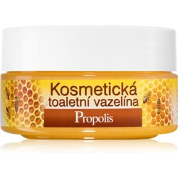 Bione Cosmetics Honey + Q10 kozmetični vazelin 155 ml Cene
