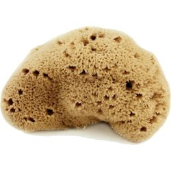 Cose della Natura Svilena spužva - Srednje, 8 - 10 g Cene