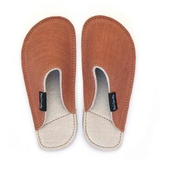 BeGiraffe copati Elder Oak Cene