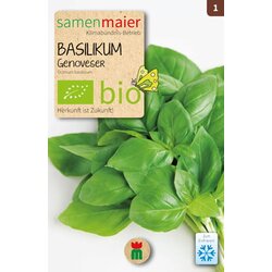 Samen Maier BIO bazilika "Genoveser" Cene