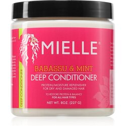 Mielle Babassu & Mint hidratantni regenerator 227 g Cene