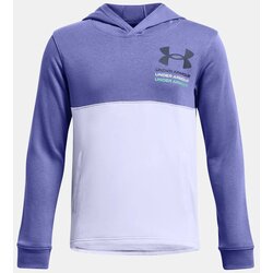 Under Armour Boys' sweatshirt UA Boys Rival Terry Hoodie Cene