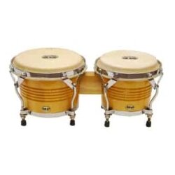 Abc Latino-Bongo professional Cene
