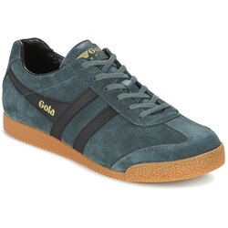 Gola harrier zelena Cene