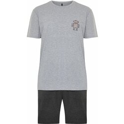 Trendyol Gray Regular Fit Embroidered Knitted Pajamas Set Cene