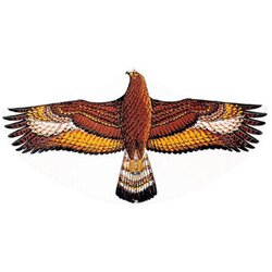Gunther zmaj dječiji orao 122cm 1146 Cene