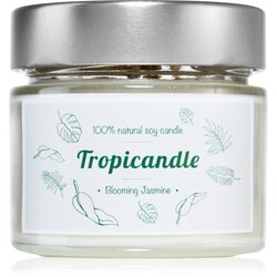 Tropicandle Blooming Jasmine dišeča sveča 150 ml Cene