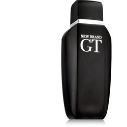 New Brand Parfums GT 100 ml toaletna voda za moške Cene