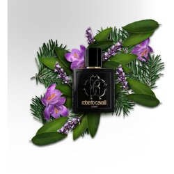 Roberto Cavalli uomo toaletna voda 100 ml za muškarce Cene