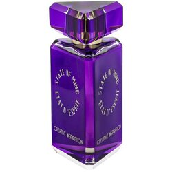 State Of Mind Creative Inspiration 100 ml parfemska voda unisex Cene